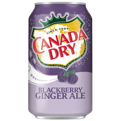 Canada Dry Blackberry & Ginger Ale (355ml)